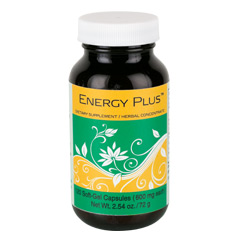 Energy Plus™